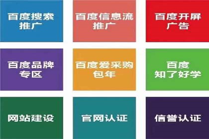 百度竞价代理技巧：经典成功案例解析